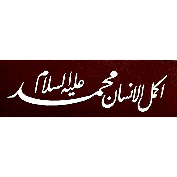 Sedef Naht Tablosu 56x28 cm