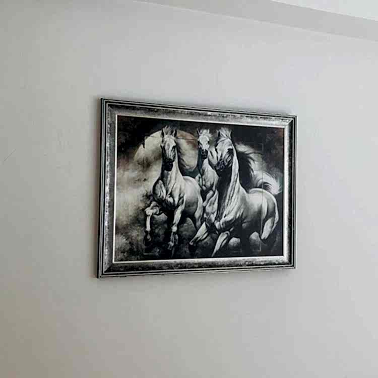 Siyah Beyaz At Tablosu 60x75 cm